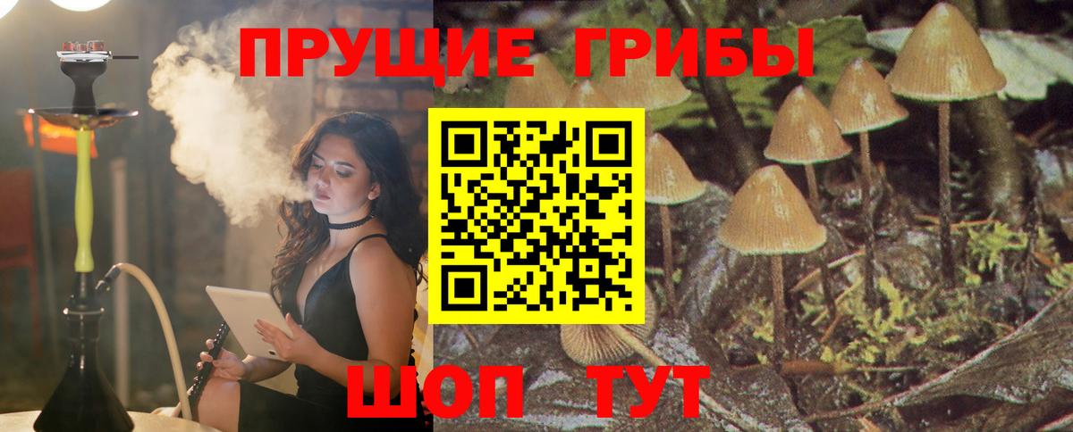 Галлюциногенные грибы прущие грибы  Вход с VPN  Новоуральск 